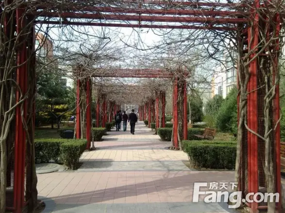 青青家园实景图