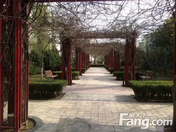 青青家园实景图