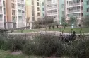左安漪园实景图