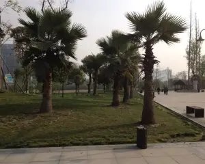 洲际亚洲湾A区 3室2厅 南