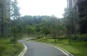 山水嘉园实景图