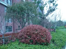 紫琅湖大剧院旁精装两房总价低