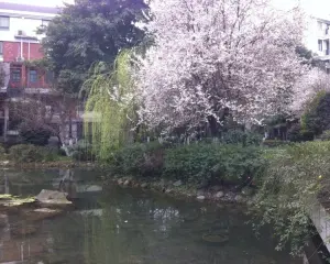 都市美丽洲 4室2厅 东南