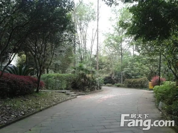 青城阳光实景图