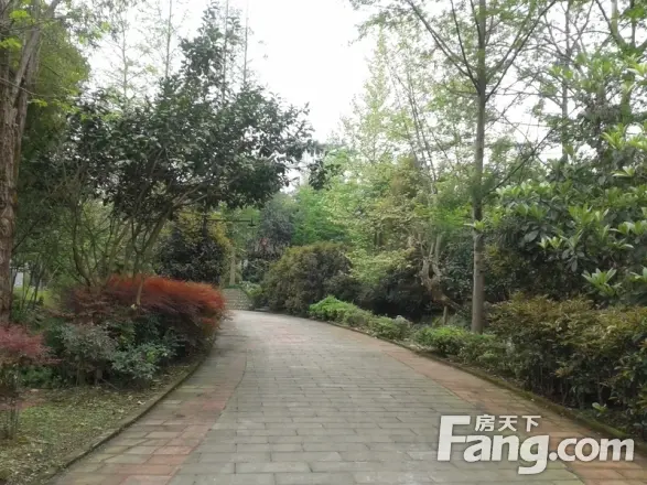 青城阳光实景图