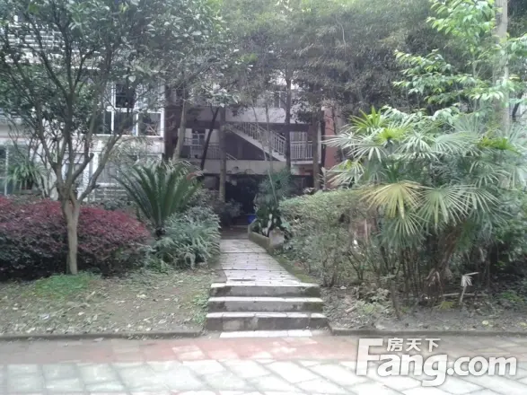 青城阳光实景图