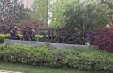 金地西岸故事实景图