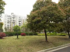 主卧朝南,环境优美,居家装修,诚意出售