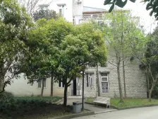 青城山水 3室2厅 南