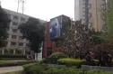 金地西岸故事实景图