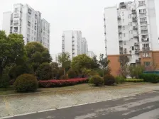 采菊苑大C两房 在卖套数少 户型方正 价格可谈