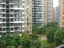 西平品质小区,保养好,天然气,诚心出售