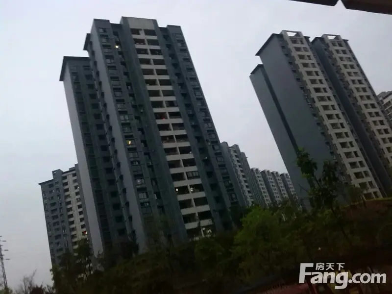 实景图