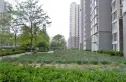 中景理想家实景图