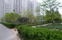 中景理想家实景图