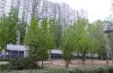 中景理想家实景图