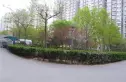 中景理想家实景图
