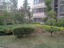 商业配套齐全 电梯房 近医院 正南朝向 满五 近地铁