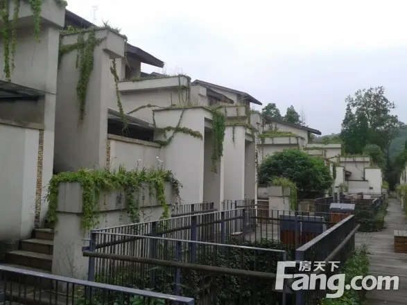 青城山房别墅实景图