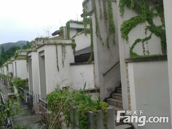 青城山房别墅实景图