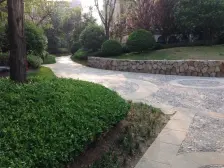 普罗旺世洋房社区 人车分流 复式洋房 一楼带院