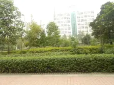 二郎龙湖天街旁 留学生创业园 银海方舟一房可以做门面