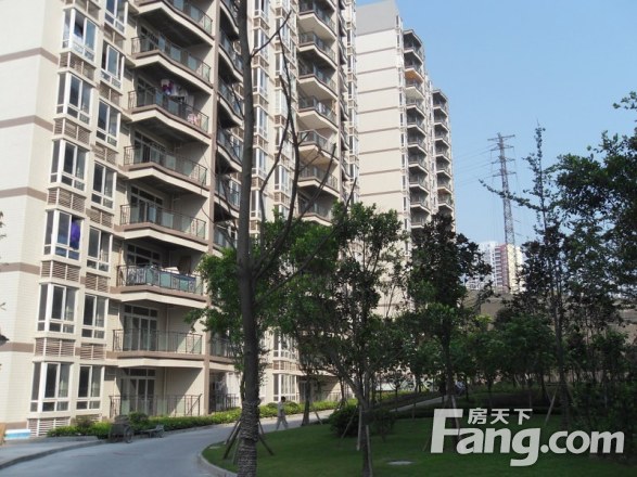 邦兴佳苑实景图