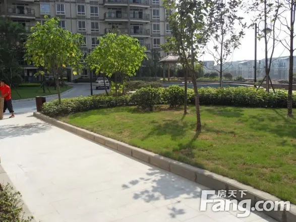 邦兴佳苑实景图