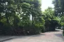 假日青城别墅实景图