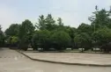 假日青城别墅实景图