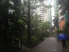 健逸天地 5室2厅 东南 南