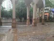 健逸天地,精装三房朝南,业主诚意出售