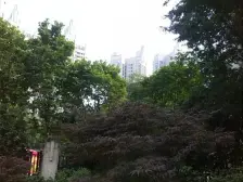 视野好+小区品质高+价格便宜+配套成熟+大社区