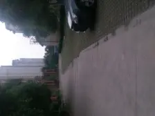 颛桥·君莲小区·3室·2厅