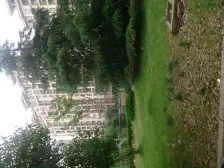 楼层视野开阔,位置佳,对望星河湾户型整齐,出行便利