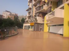 蓝山美树 4室2厅 东 西