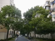 闵行区古美罗阳古美一村2室1厅