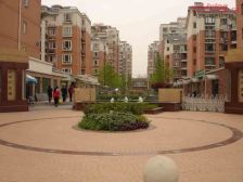 品质小区,环境优美,居家装修,诚意出售