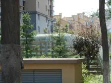 龙园 3室2厅 南 北