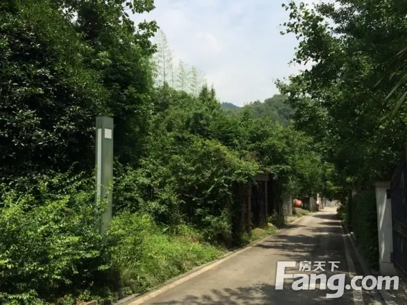 青城皓庭实景图