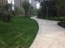 国基路 带电梯 房龄新 刚需两居 高楼层视野无遮挡 出行方便