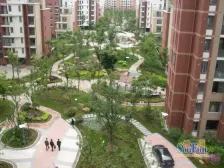 临港海滨国际花园 2室1厅 南 北