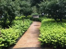 兰铝二区 精装修 带后院 直接入住