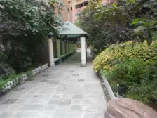 七星岗电梯房园林小区 四房户型方正 采光好有外阳台