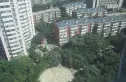 厂洼小区实景图