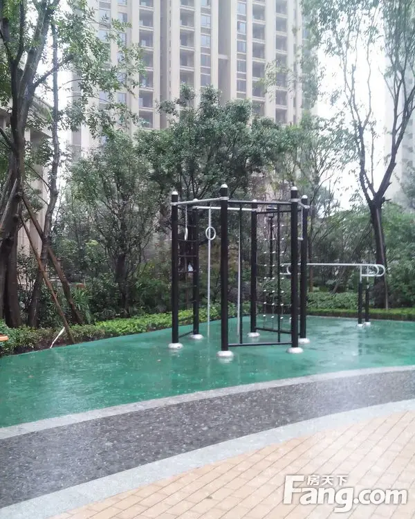 实景图