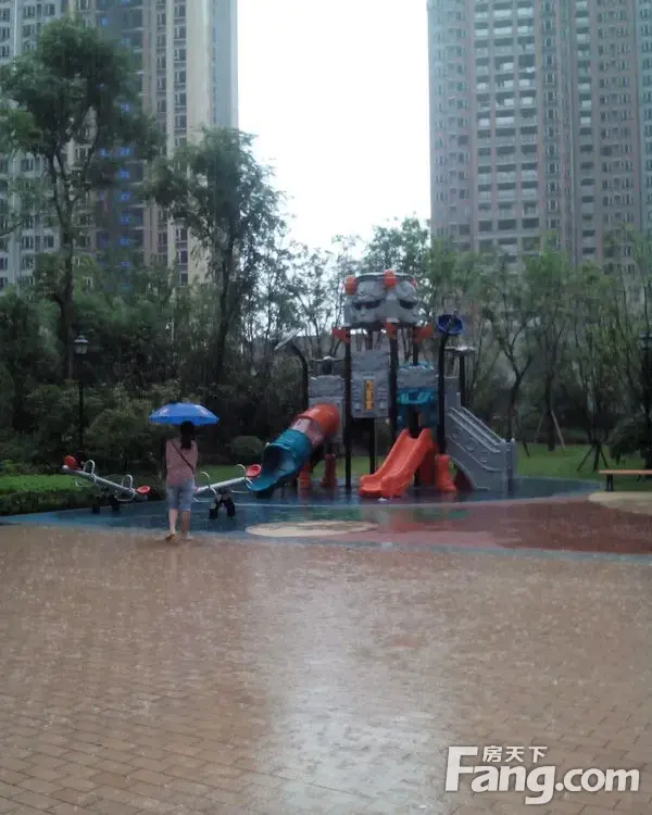 实景图