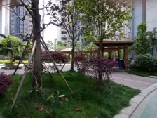 清水路苑 2室1厅 东南